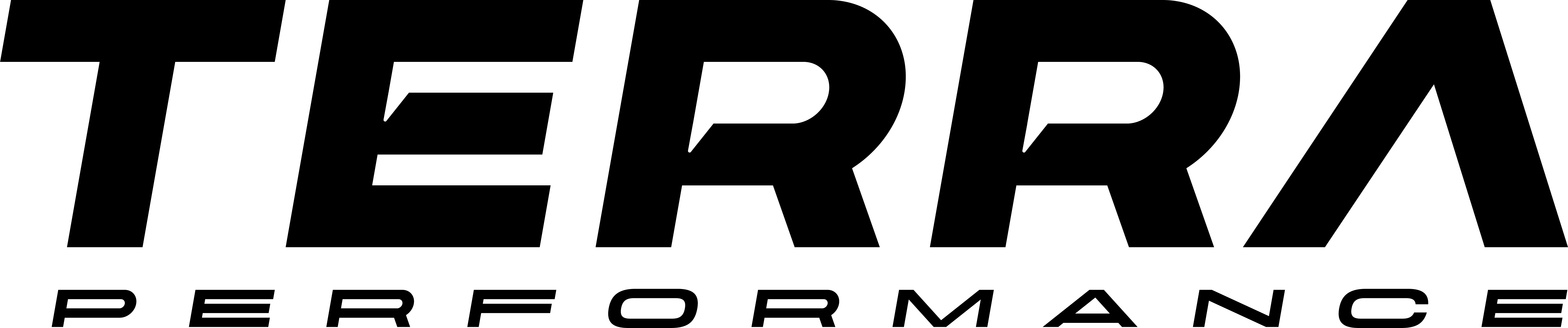 Terra Performance logo